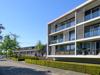 De Lingert 6499A