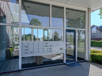 De Lingert 6499A