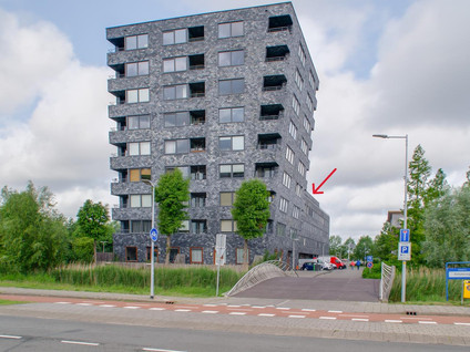 Rottumeroog 246