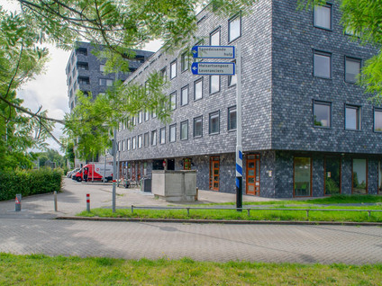 Rottumeroog 246