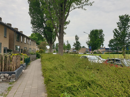 Reigerweg 58