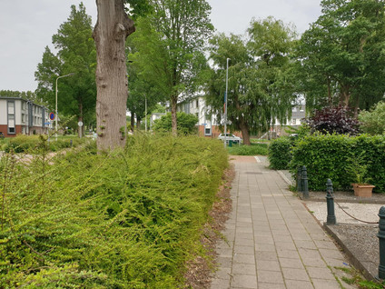 Reigerweg 58