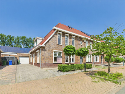 Tapijtschelp 30