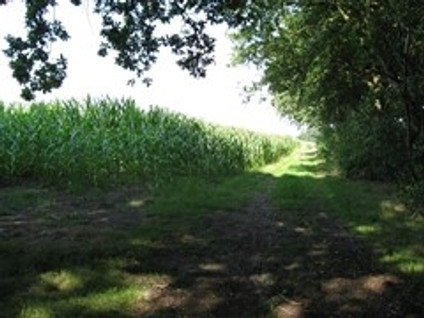 Zandlaan 
