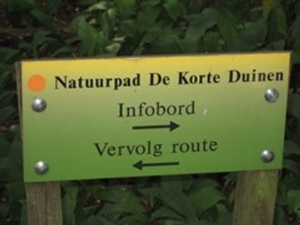 Zandlaan 