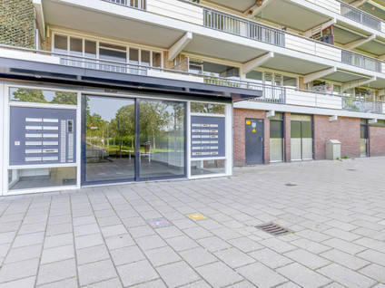 Elzenhorst 55
