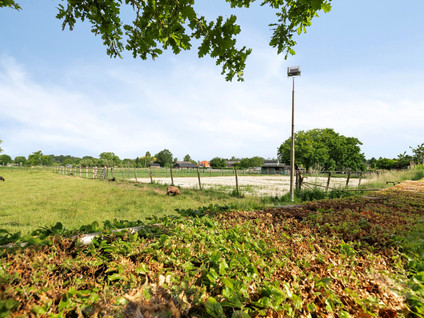 Burgemeester Van Rijswijkstraat 8