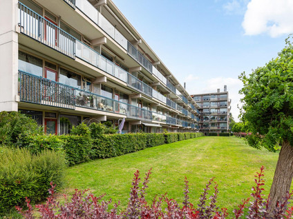 Bredenoord 208
