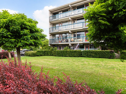 Bredenoord 208