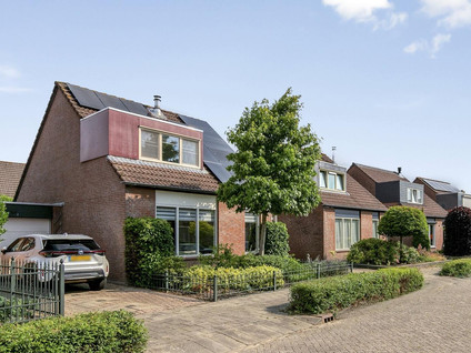 Roerdomp 91