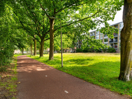Van Maarseveenstraat 19