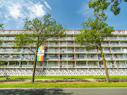 Jacques Urlusplantsoen 378