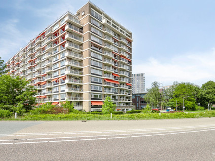 Plantijnstraat 19