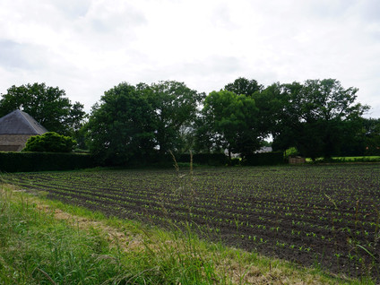 Beekseweg 25 