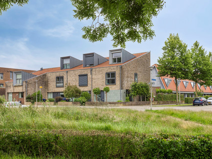 Vlaamse Gaai 9