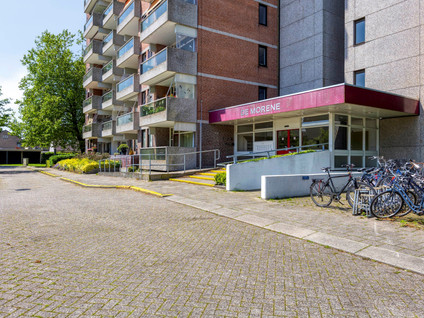 Jennerstraat 50