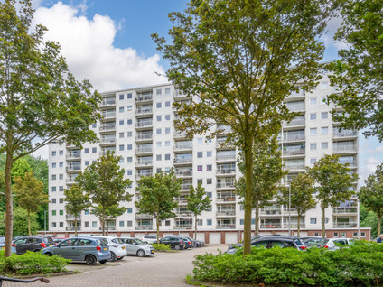 Jisperveldstraat 568