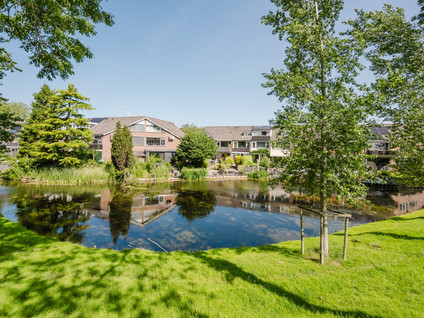 De Esdoorn 17