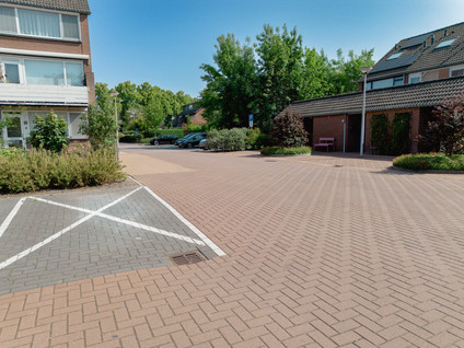 De Esdoorn 17