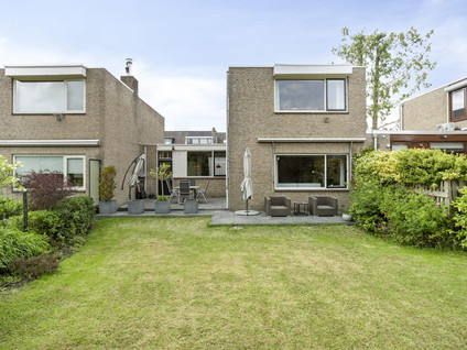Boksdoorn 6