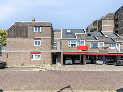 Steendijk 19