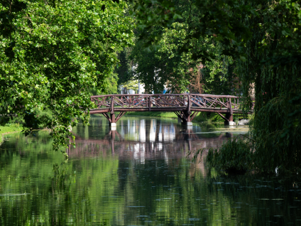 Noordsingel 102B