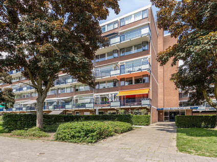 Obrechtstraat 217