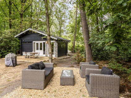 De Stille Wille 49