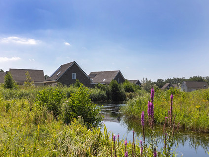 De Duinen 220