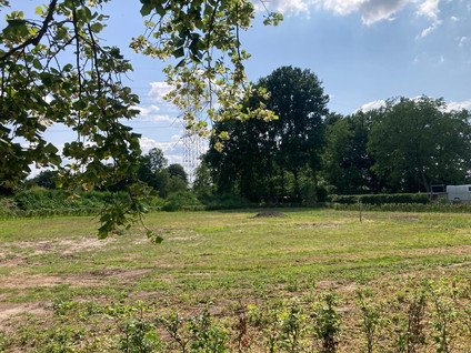 Molenkampseweg 12