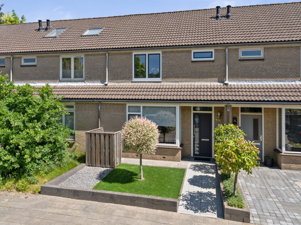 Roerdomp 19