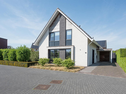 Vijfvingerkruid 19