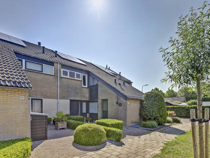Wilgestraat 21