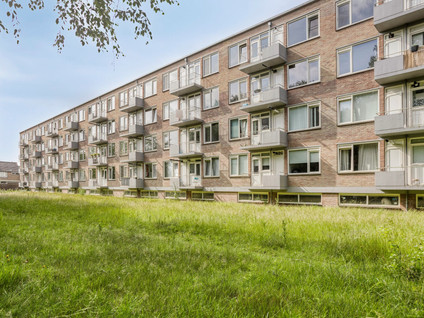 Europalaan 423