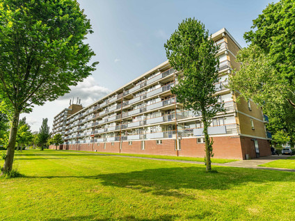 Koekoekstraat 23