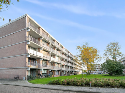 Witte de Withstraat 81