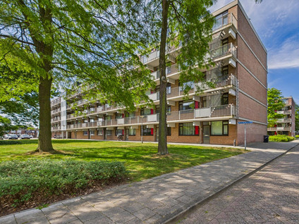 Witte de Withstraat 27