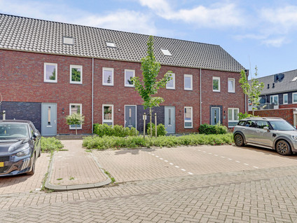 Dooleg 26