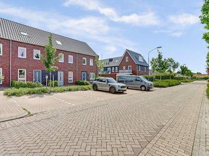 Dooleg 26