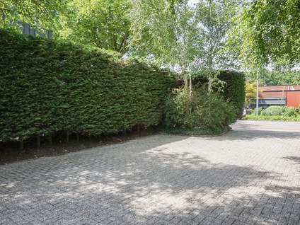 Vossenkoog 2