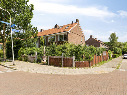 Buijs Ballotstraat 81