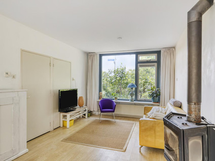 Buijs Ballotstraat 81