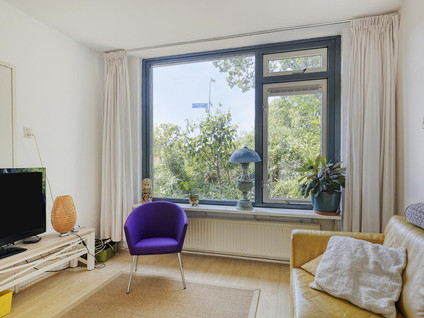 Buijs Ballotstraat 81