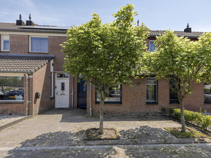 Ambrozijnberg 113