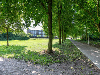Telemannstraat 29