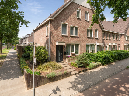 Schoonhout 172
