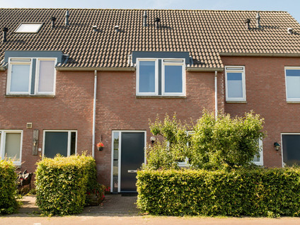 Rozenburg 7