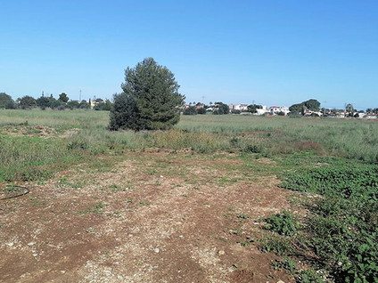 Partida Buscarrons Cl-04b 300 