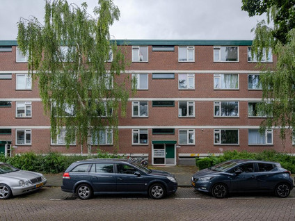 Ruigoord 196
