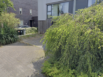 Ravelijn 18